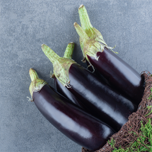 ripe-fresh-eggplants-garden-vase